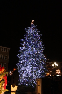 Auburn Hills Tree Lighting